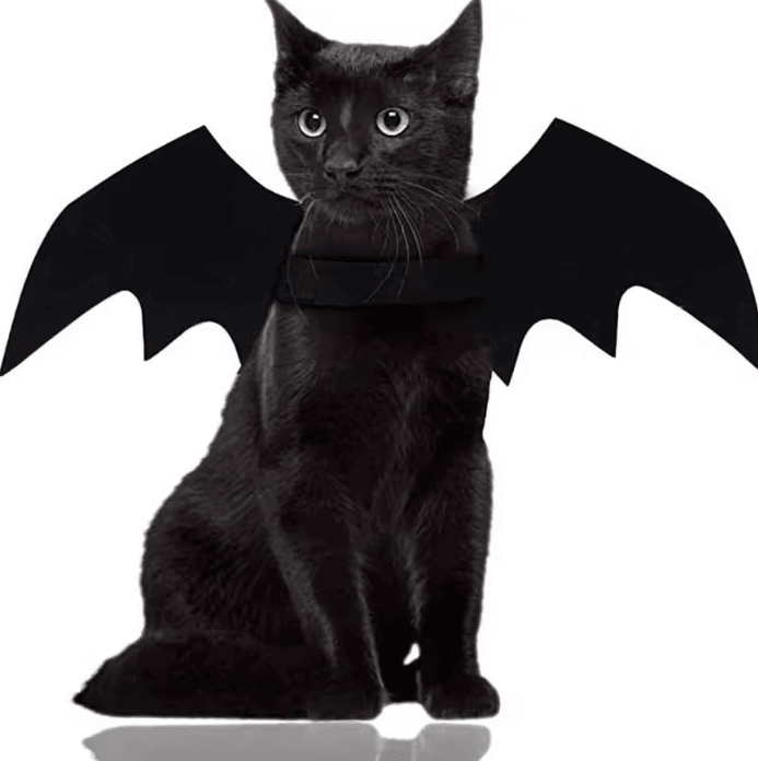 BatCharm Pet Bat Wings Costume – Cute Halloween Cosplay Harness for Cats & Dogs