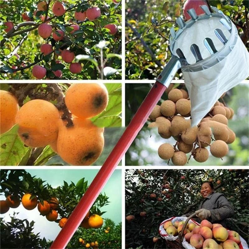 Heavy-Duty Metal Fruit Picker – Professional High-Tree Harvest Tool