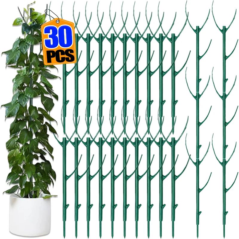 Plant Support Stakes for Climbing Plants