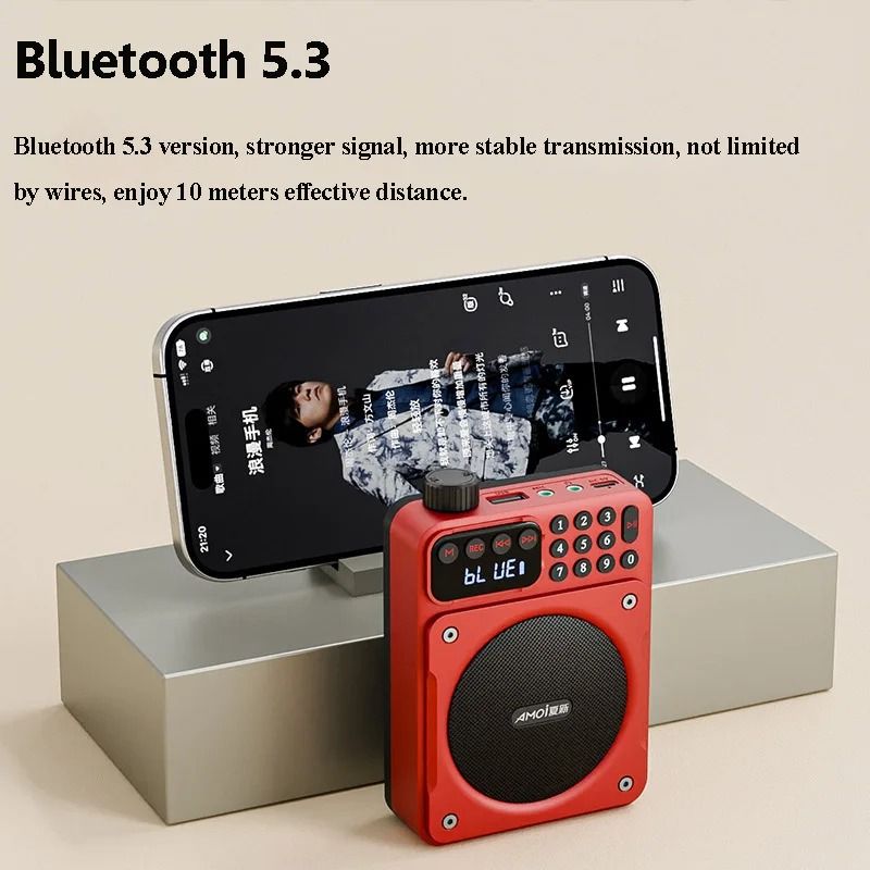 Mini Digital FM Radio with Bluetooth Speaker and USB Slot