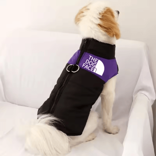 Winter Dog Hoodie Sports Coat Warm Autumn and Winter Pet Clothing for Large Dogs