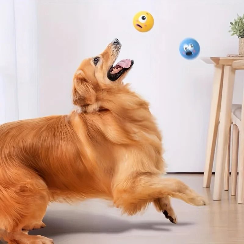 Cartoon Big Eye Hub and High-Fidelity Canine Engagement Architecture