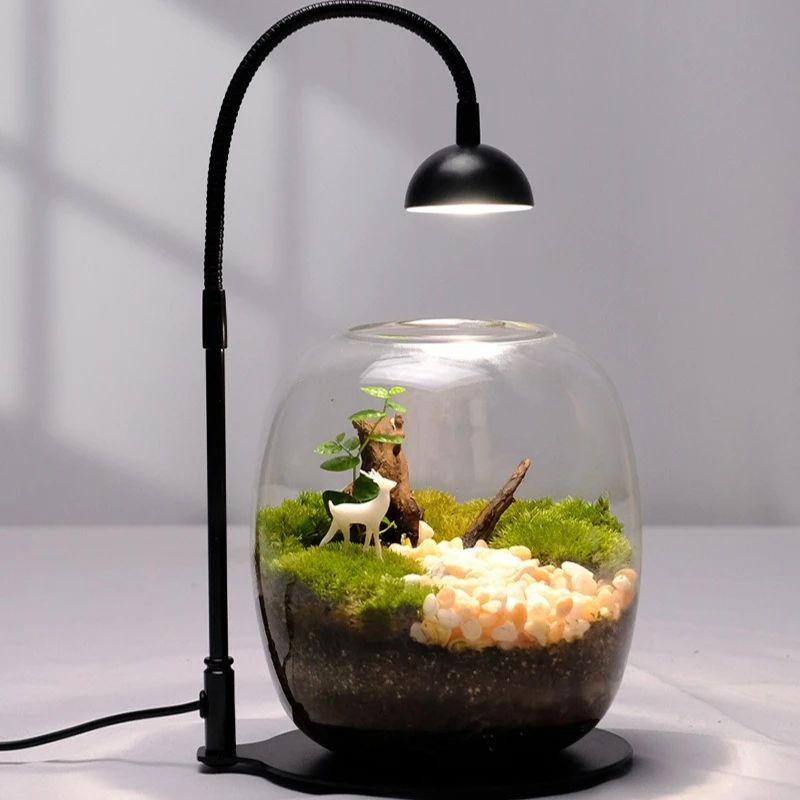 Smart Full Spectrum Indoor Grow Light with Timer for Terrariums & Houseplants