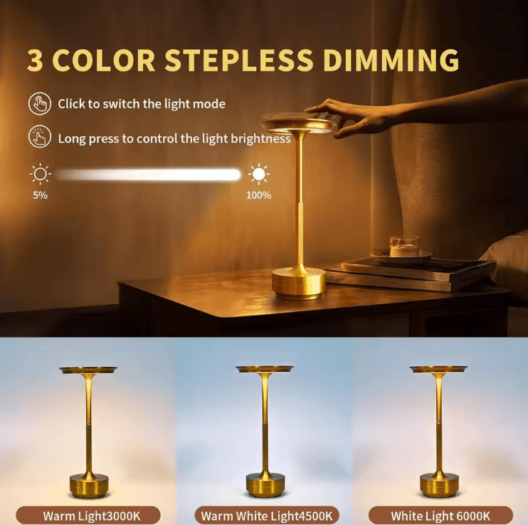 Wireless LED Desk Lamp with Touch Dimming and Rechargeable Design