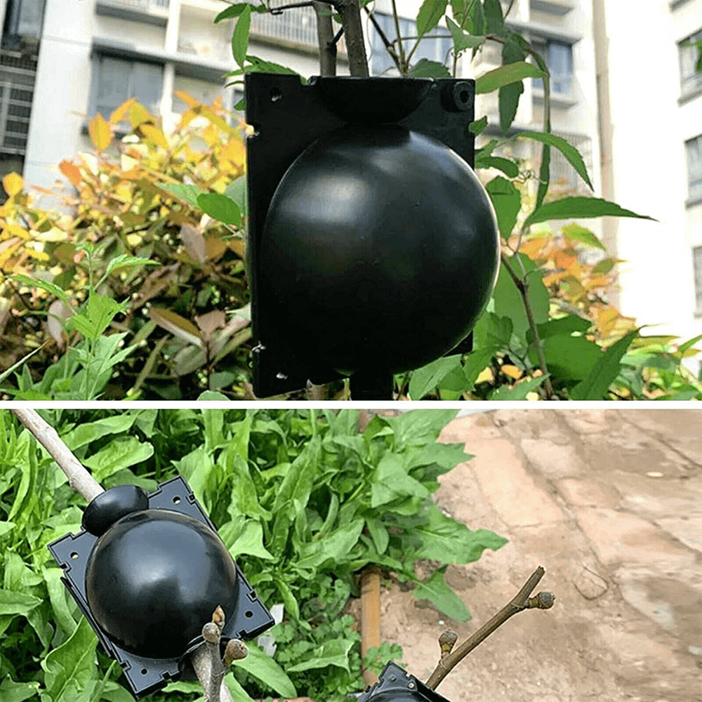 Plant Root Growing Box