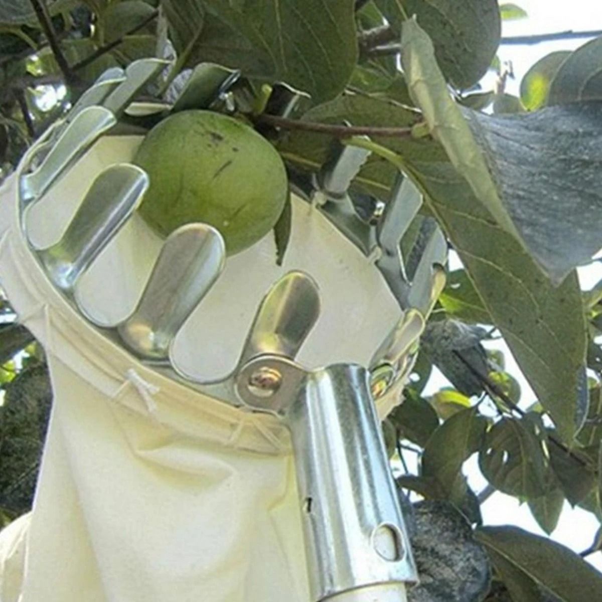High-Altitude Telescopic Fruit Picker – Professional Garden Harvester