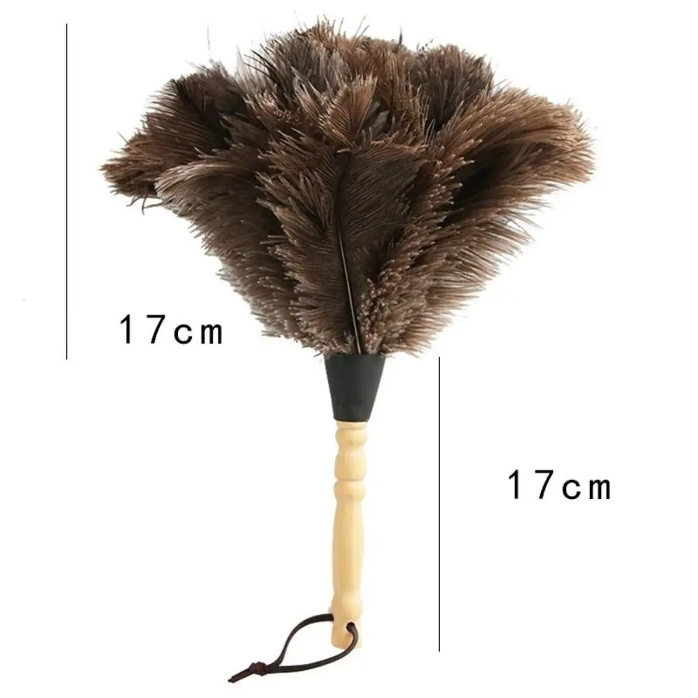 Natural Ostrich Feather Duster – Soft Dust Removal Brush with Wooden Handle