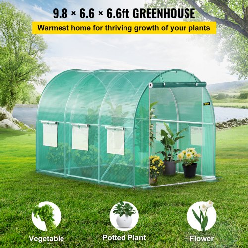 Walk-In Greenhouse 9.8 x 6.6 x 6.6 ft, Waterproof PE Cover, Sturdy Galvanized Frame & 6 Mesh Windows