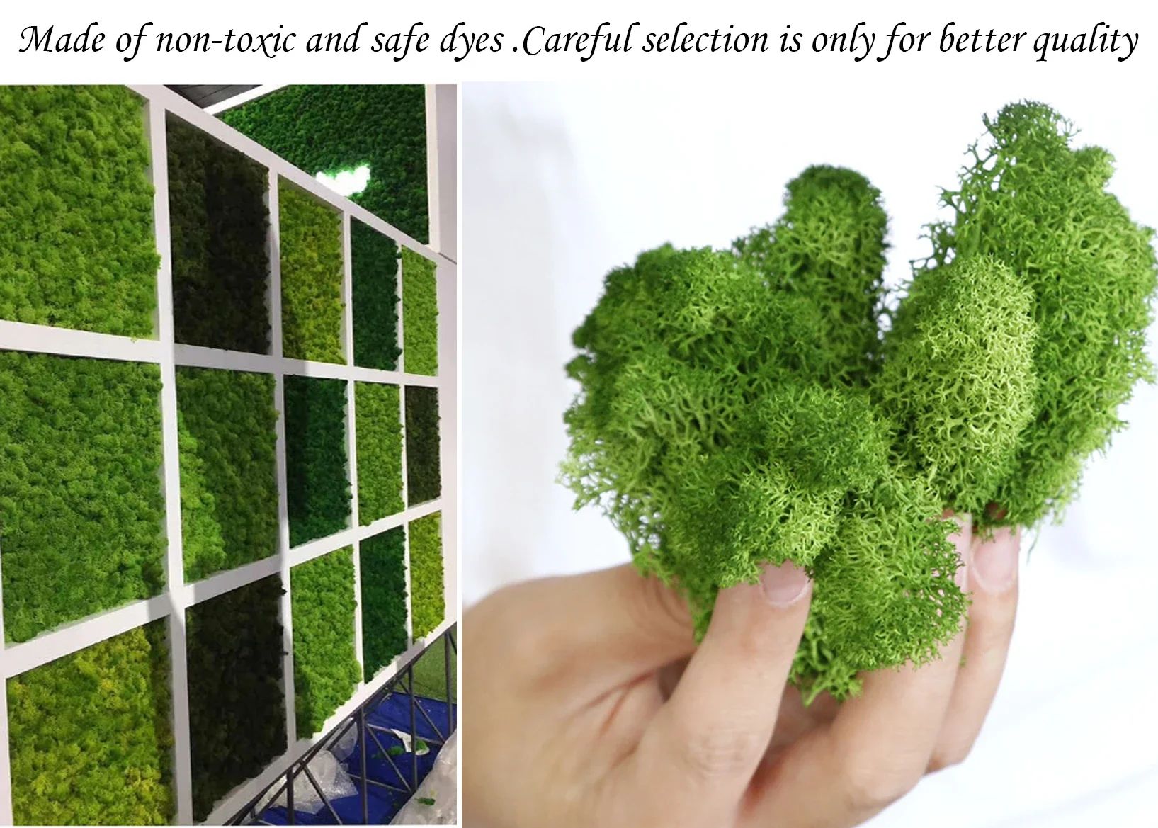 Premium Reindeer Moss Decor for Crafts Plants and Wall Styling