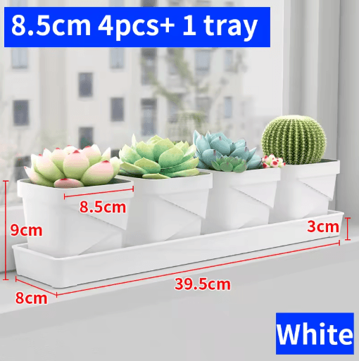 Square Ventilated Plastic Flower Pot Succulent Planter with Thick Drainage Tray
