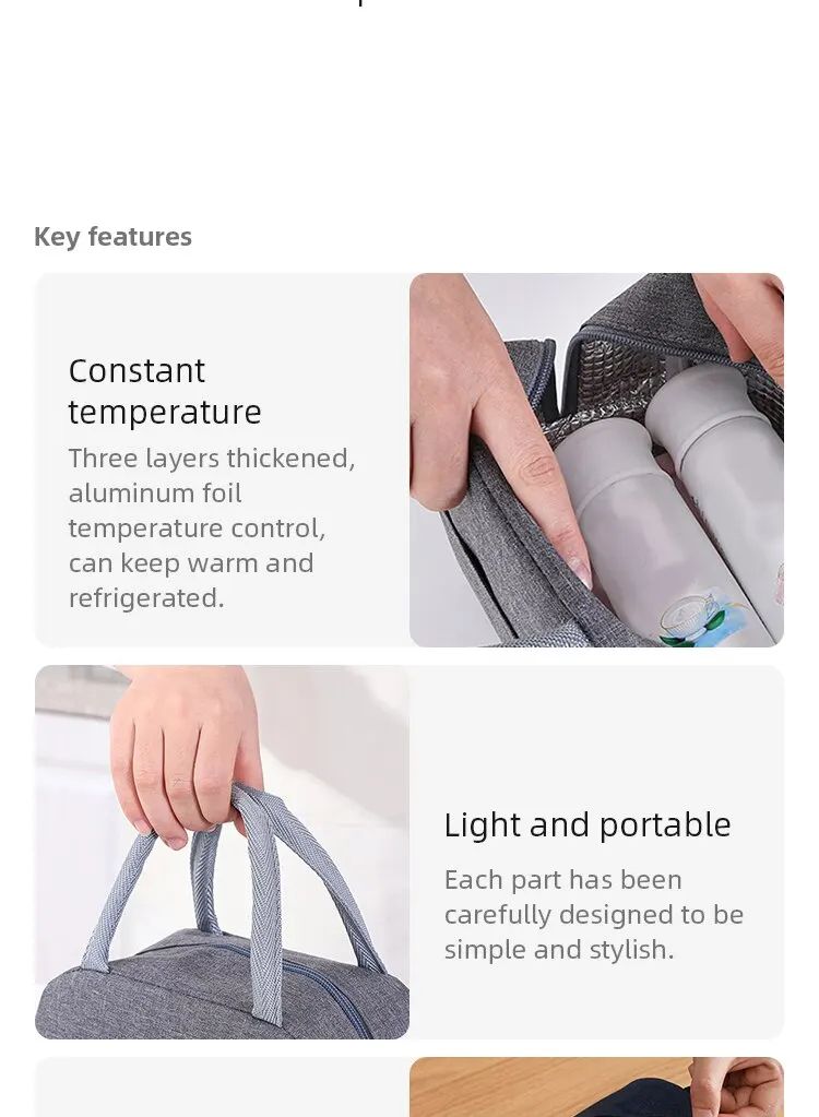 Insulated Canvas Lunch Tote Bag