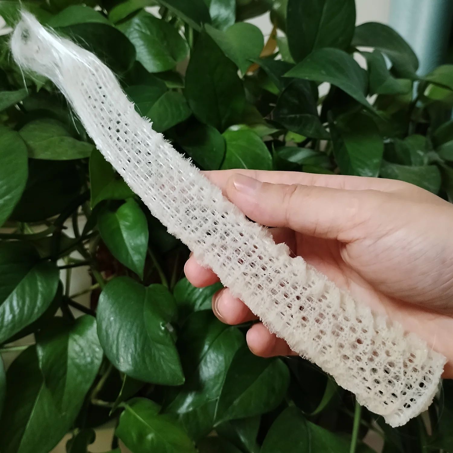 Natural Venus Flower Basket Sea Sponge Decor