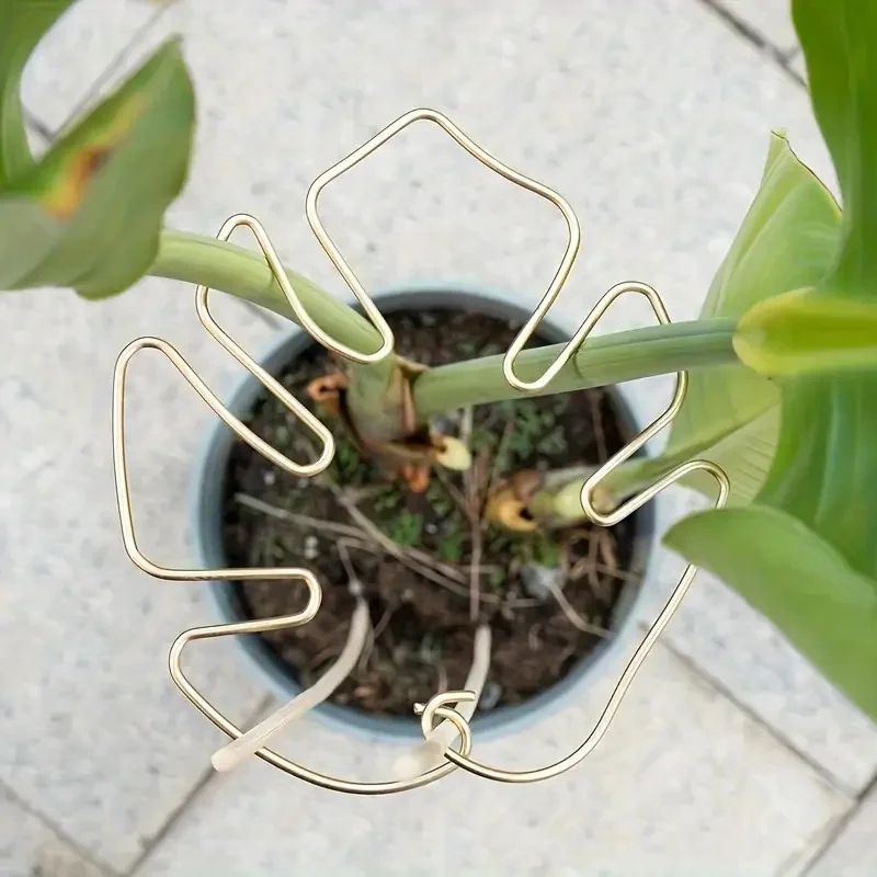 Large Hanging Plant Stand with Iron Hook