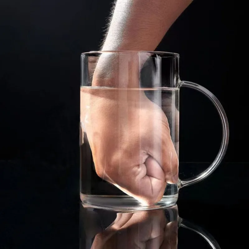 Glass Drinking Tumbler with Lid and Straw, Transparent Coffee Mug, Milk Juice Cup, Mocha Glass Cup, Juice Mug