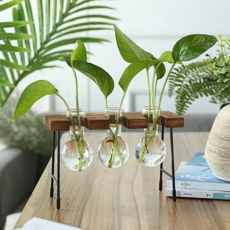 Hydroponic Plant Vase with Wooden Stand
