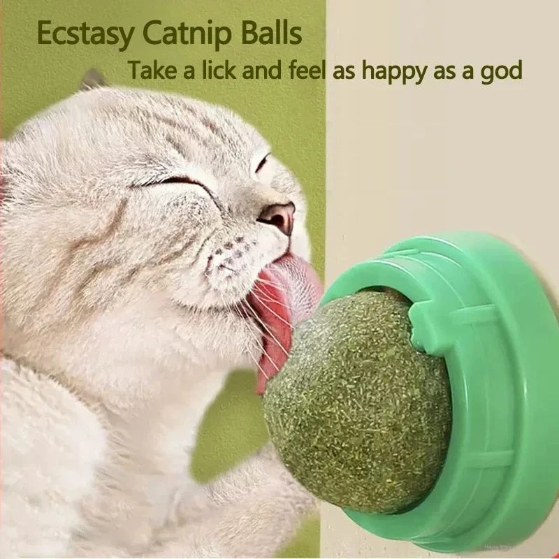 Wall Mounted Catnip Ball Toy and Scratching Post for Cats
