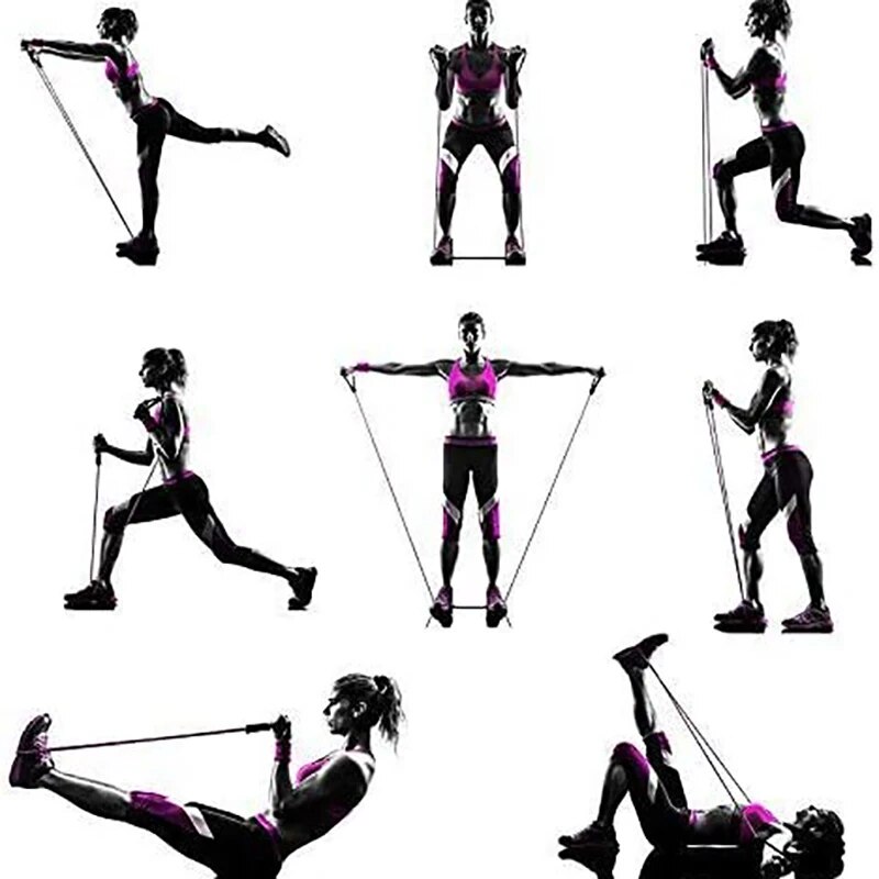 Premium Resistance Bands with Handles Home Strength Training & Workout Bands for Men and Women