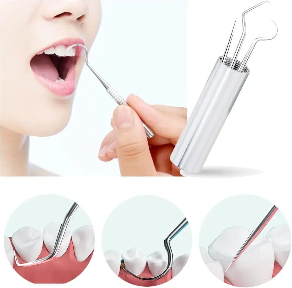 Stainless Steel Reusable Toothpick and Flossing Set
