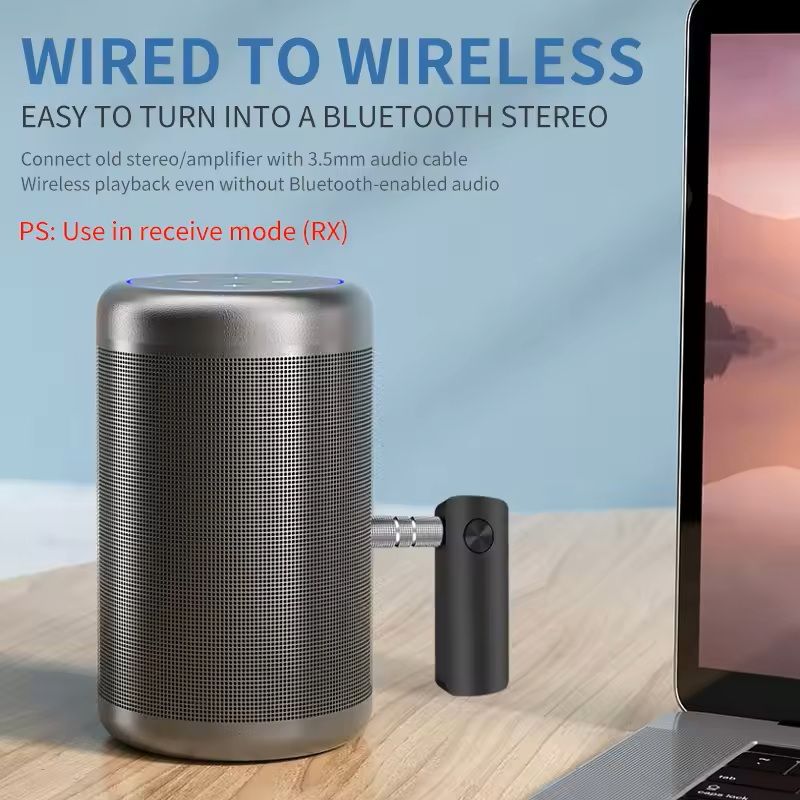 2-in-1 Bluetooth Audio Adapter with AUX for Car TV Speaker and PC