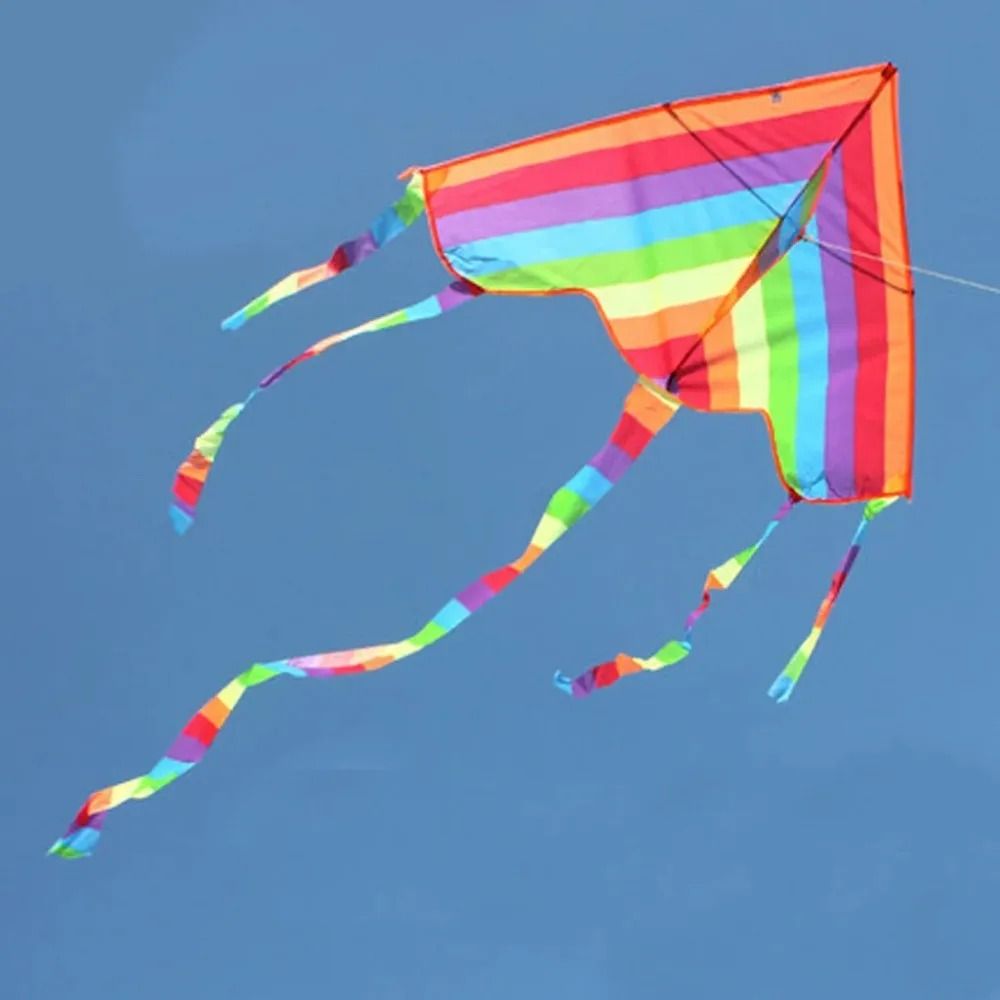 Easy Flying Rainbow Kite with Long Tail Outdoor Kids Toy