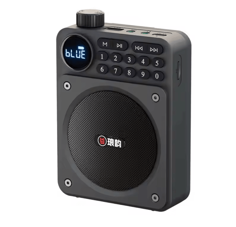 Mini Digital FM Radio Speaker with Bluetooth 5.3 USB TF Card Slot and Voice Amplifier