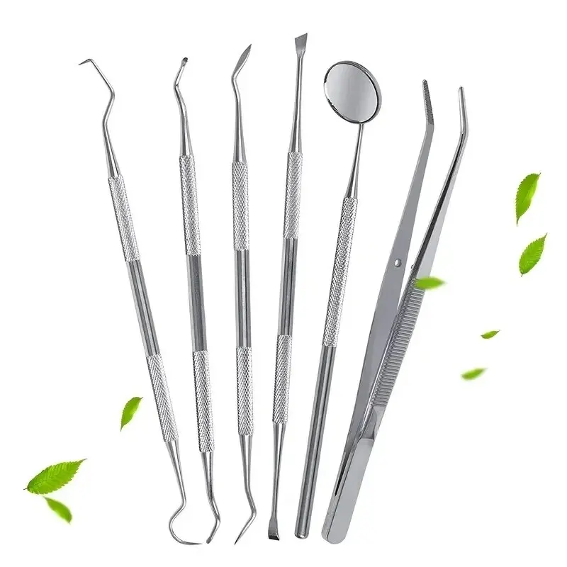Professional Stainless Steel Dentist Oral Tools Set, Mirror, Flossing, Tartar Removal & Cleaning Kit