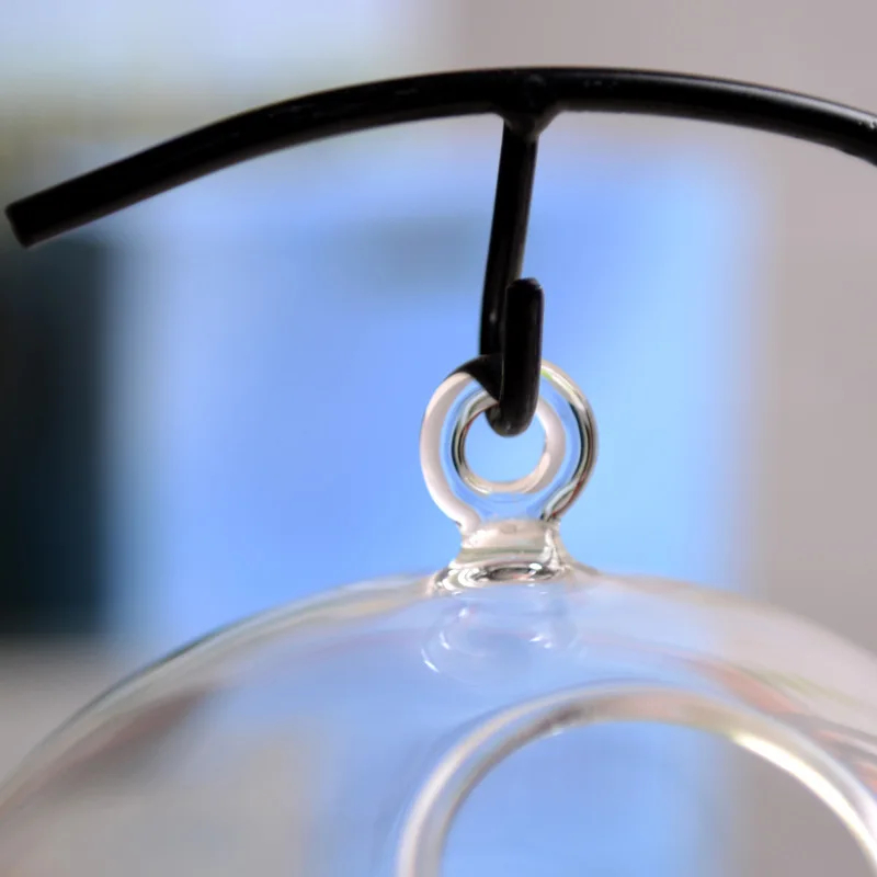 Suspended Transparent Hanging Glass Fish Tank Infusion Bottle Aquarium