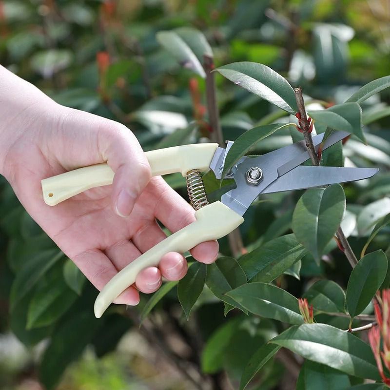 Stainless Steel Pruning Scissors Garden Bypass Hand Shear Cutting Tool