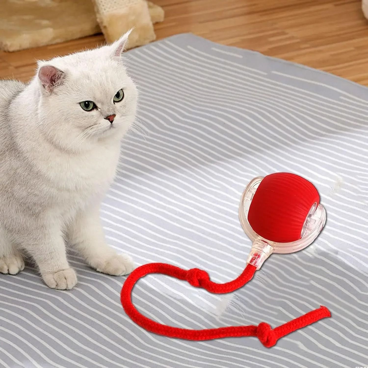 Automatic Rolling Interactive Pet Ball Rechargeable Cat and Dog Toy