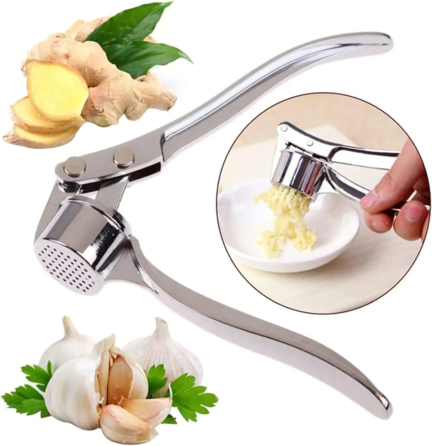 Stainless Steel Garlic Press Manual Garlic Mincer and Ginger Crusher