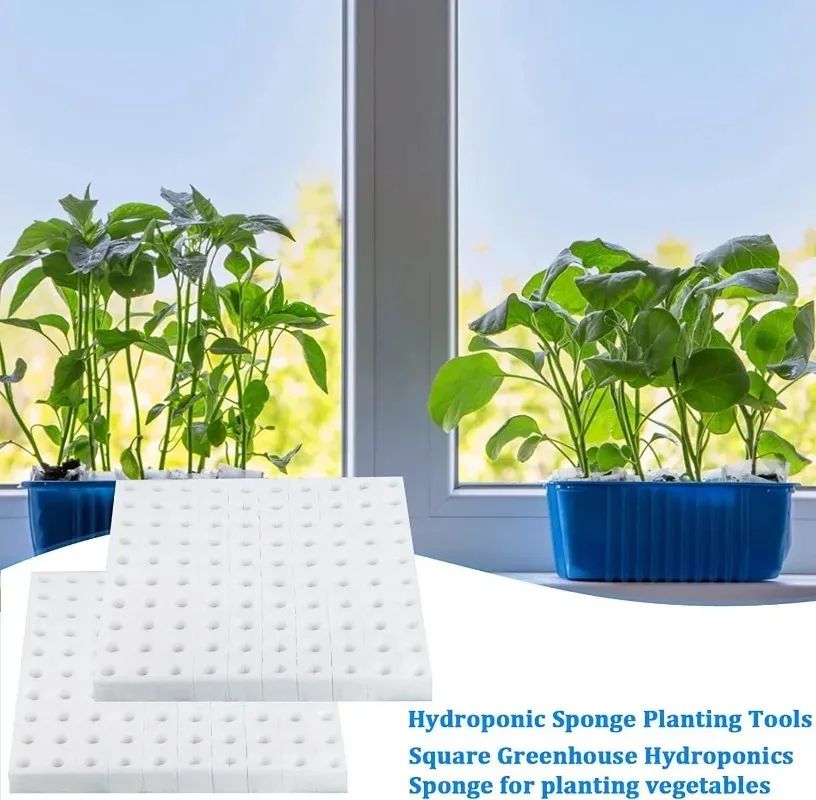 Hydroponic Plant Growing Sponge Set