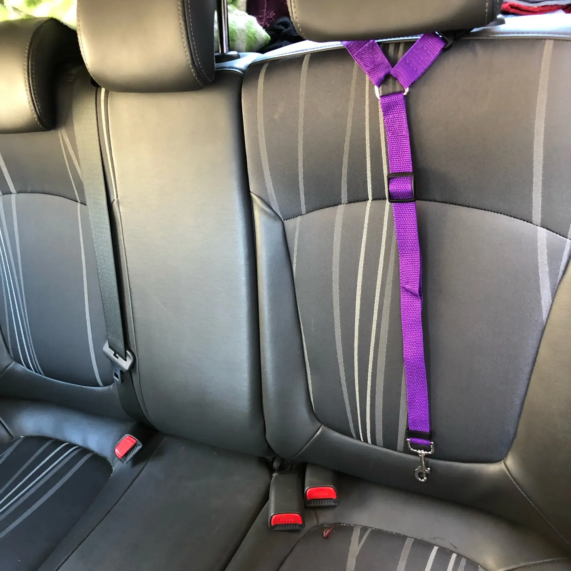 Adjustable Two in One Pet Car Seat Belt Leash for Dogs & Cats