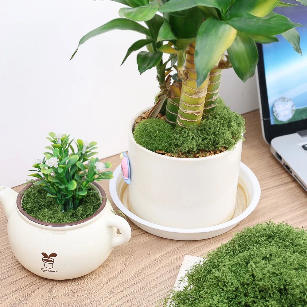 Artificial Mini Grass Moss Decor – Lifelike Faux Greenery for DIY Crafts & Home Decoration