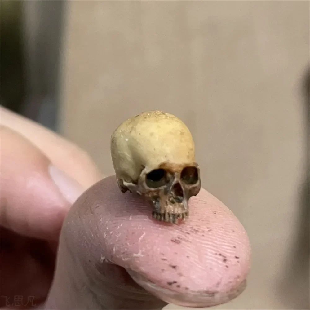 Mini Skull Decorative Figurine