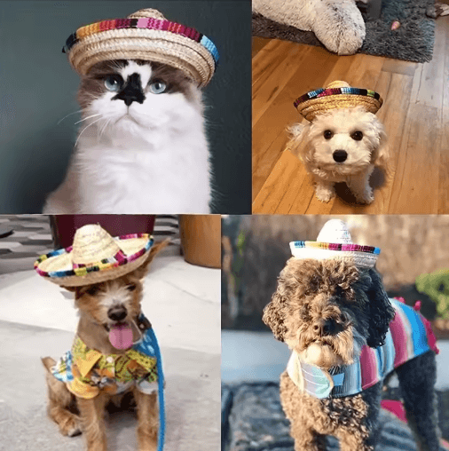 Pet Summer Sun Hat – Adjustable Breathable Cat & Dog Fashion Hat