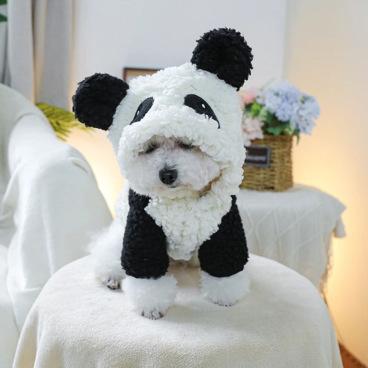 Cozy Panda Hood Pet Jacket for Autumn and Winter Warmth