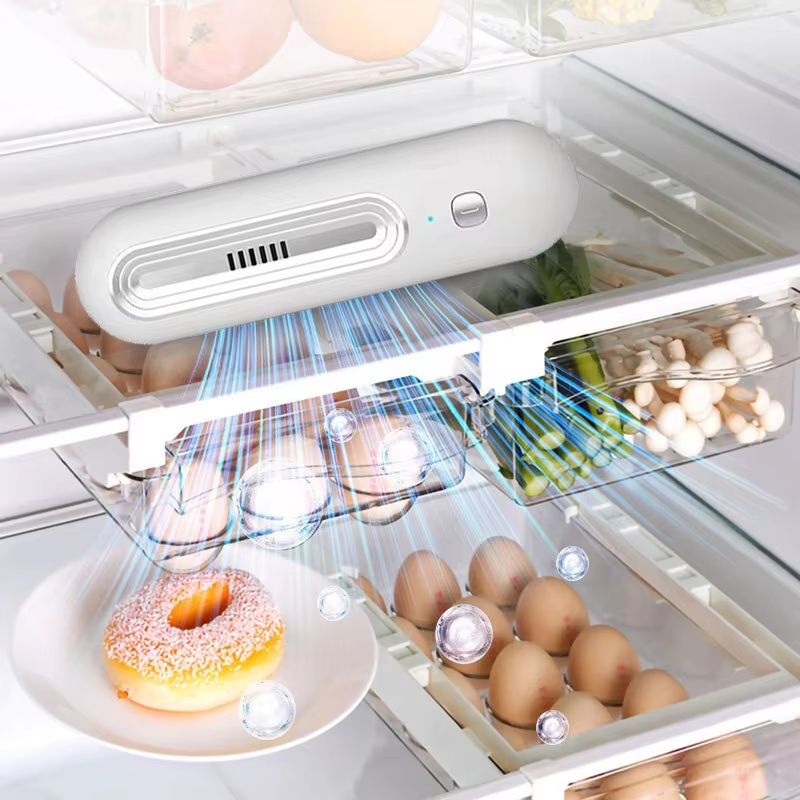 Refrigerator Deodorizer And Air Purifier For Fridge And Car