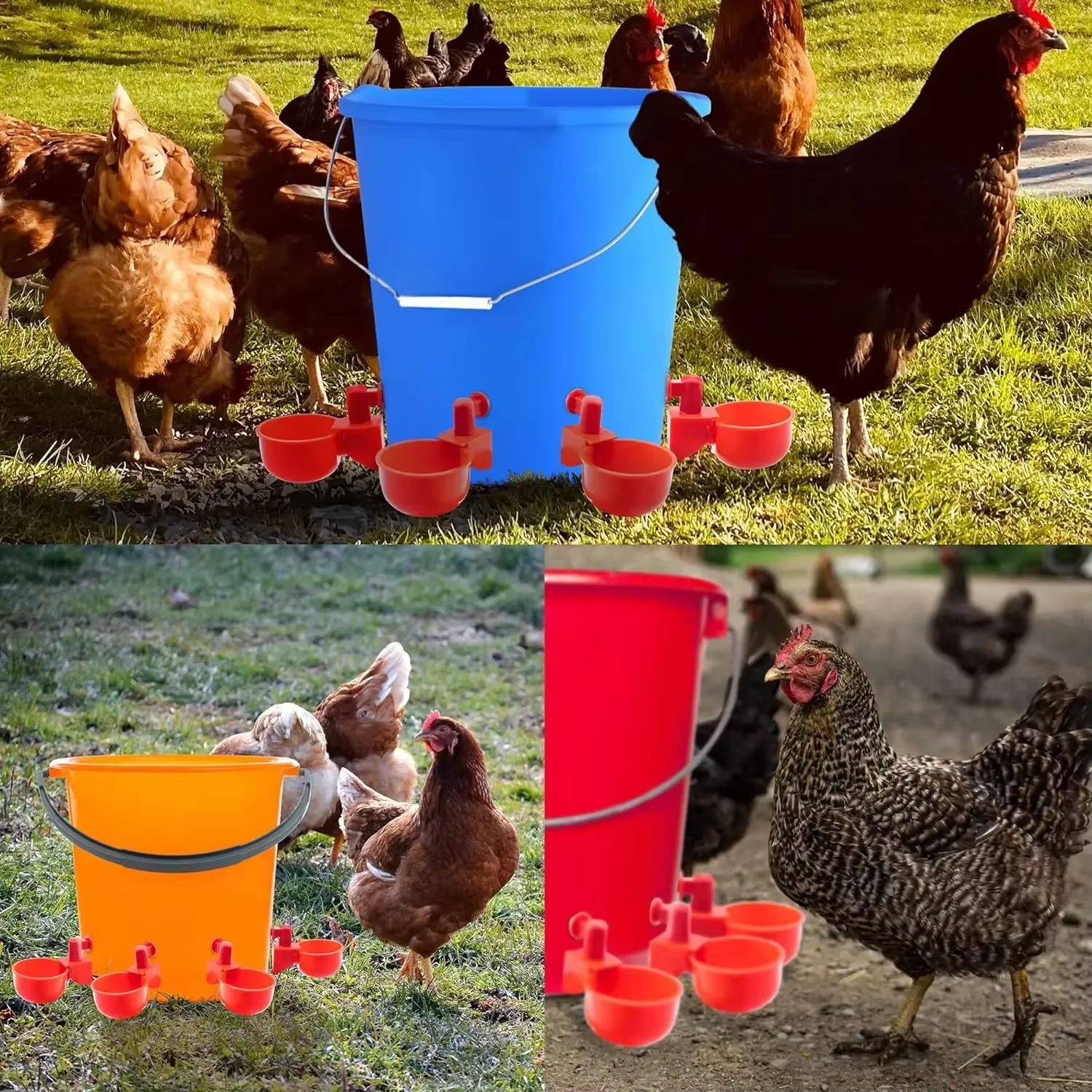 Automatic Poultry Drinking Cups – Easy Install Chicken & Duck Water Dispenser System