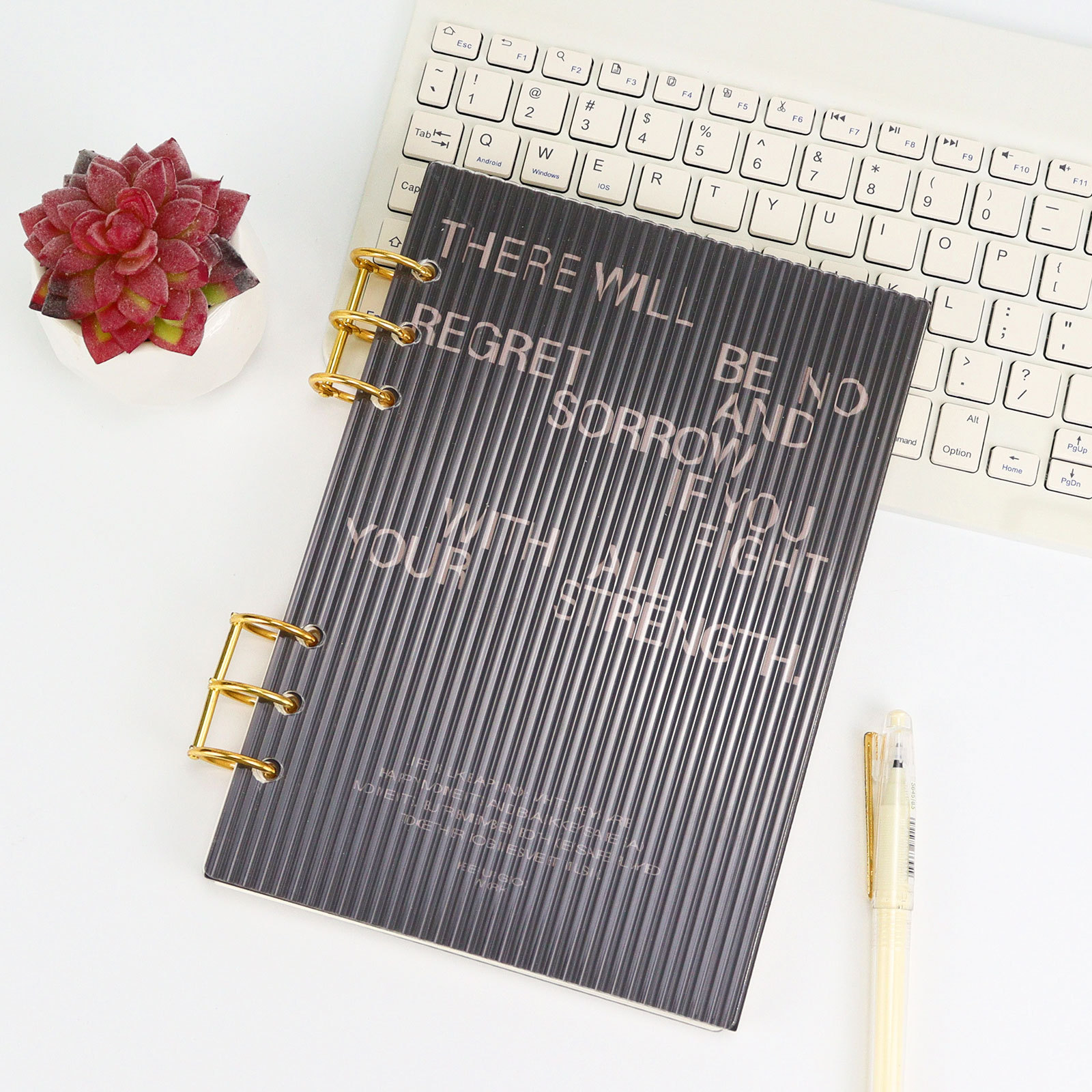 Frosting Thick Line Acrylic Loose Leaf Binder, Account Book Journal Planner, Office Stationery Supplies for Organizing