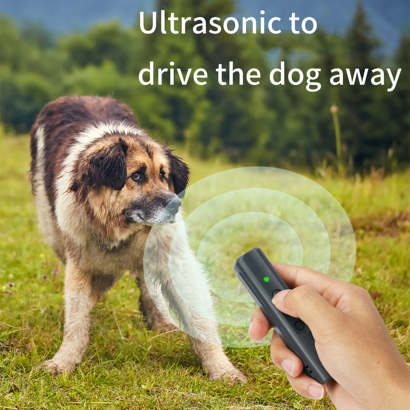 Dog Repeller and Training Device with LED Light