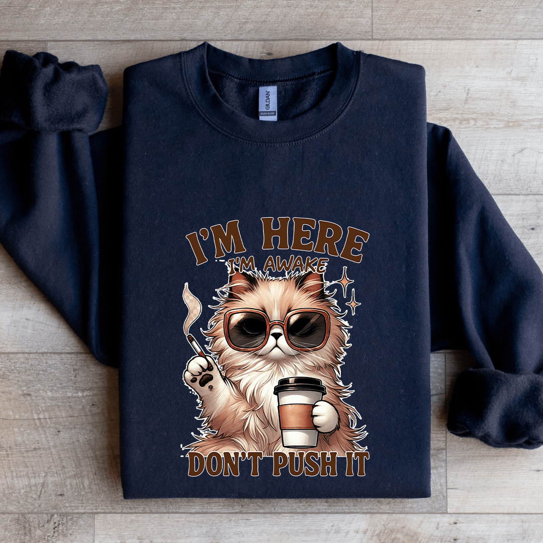 I'm Here I'm Awake Don't Push It Sweatshirt