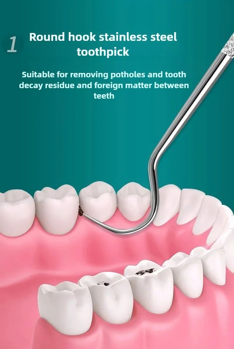 Stainless Steel Reusable Toothpick Set