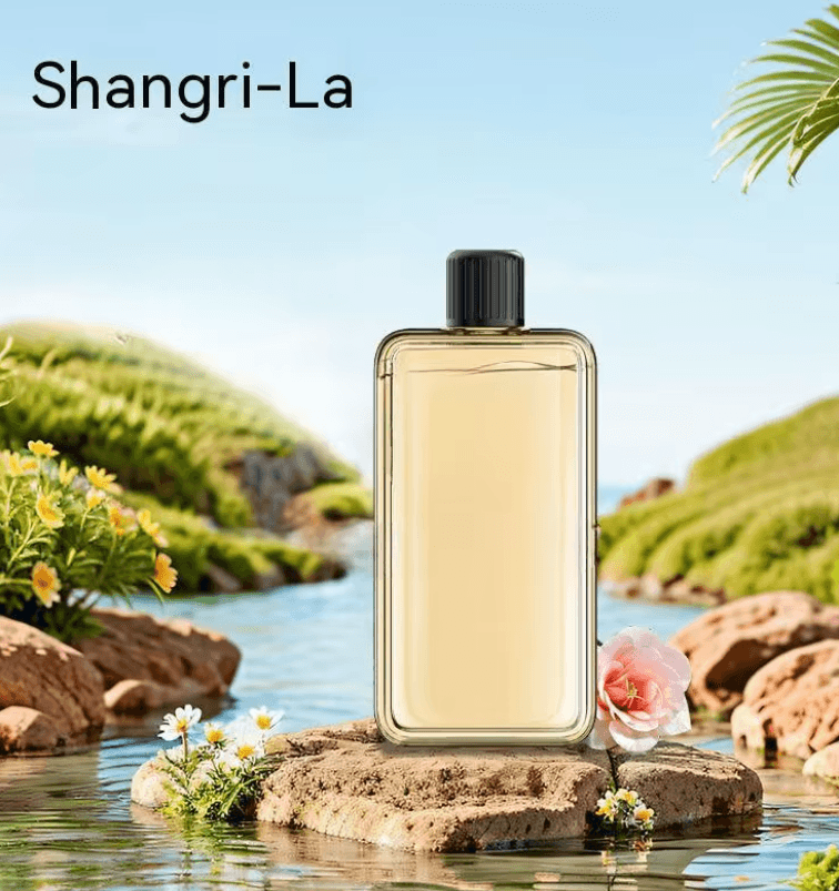 Automatic Car Diffuser with Essential Oil and Digital Display