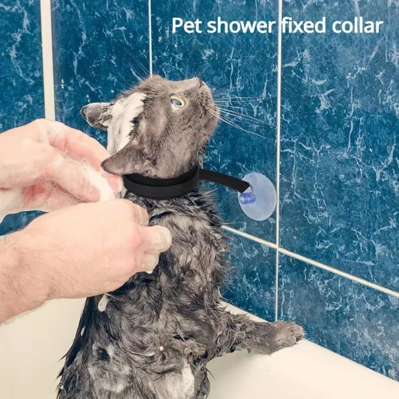 Suction Cup Pet Bathing Tether with Adjustable Collar for Easier Grooming