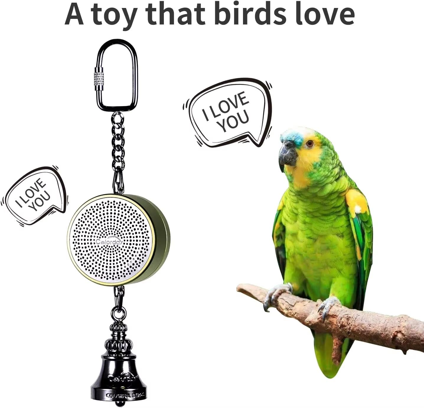 Interactive Parrot Training Toy – Voice Recording & Playback Bird Talking Coach with Chewing Bell