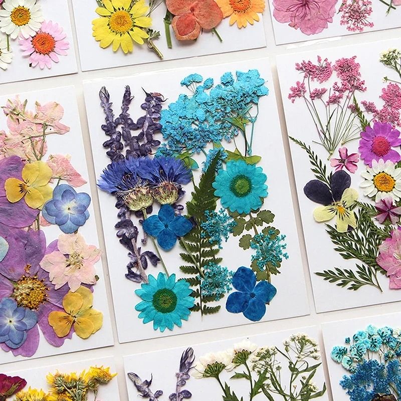 Natural Dried Flower Resin Fillings for Nail Art, Jewelry & DIY Craft Decor