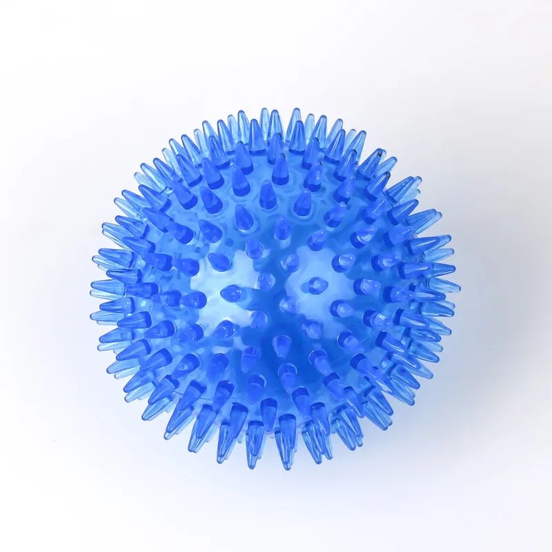 Squeaky Pet Chew Ball Toy