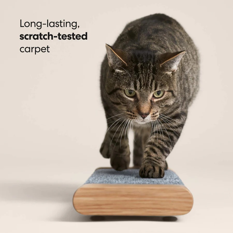 Tab Scratching Board