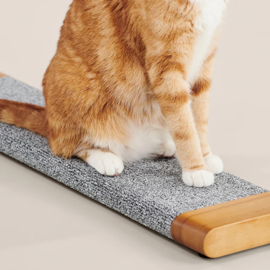 Tab Scratching Board