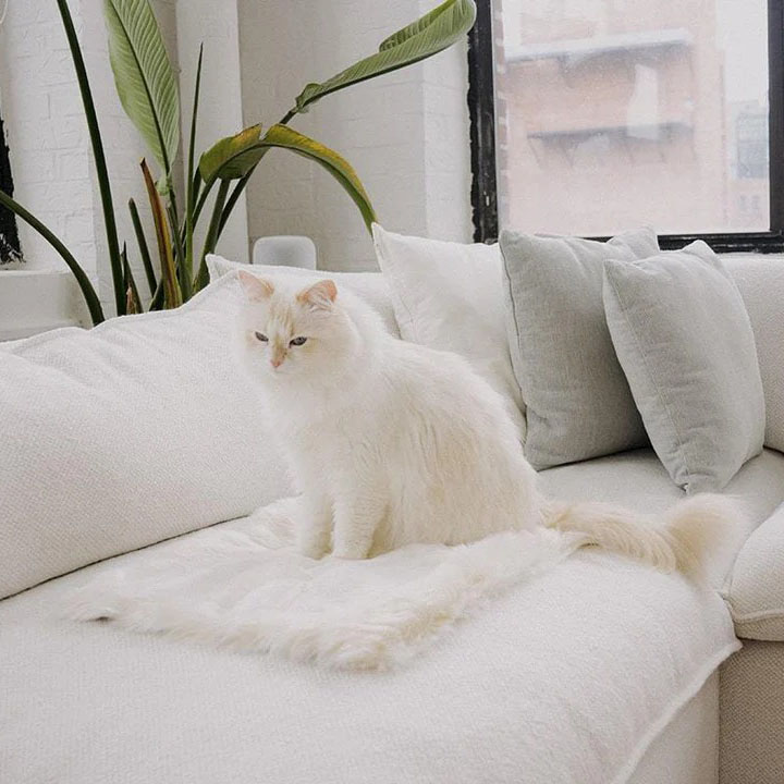 Easy Maintenance for Lasting Comfort and Cleanliness